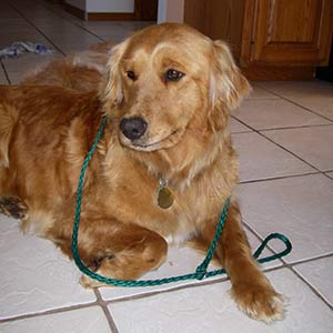 Annie, looking very pretty