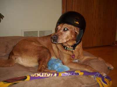 Bailey