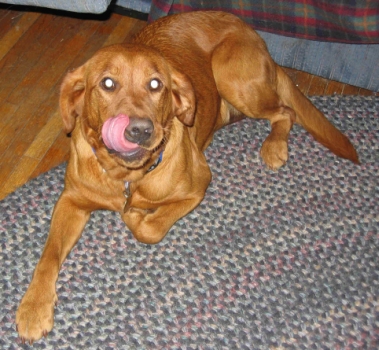 Ellie