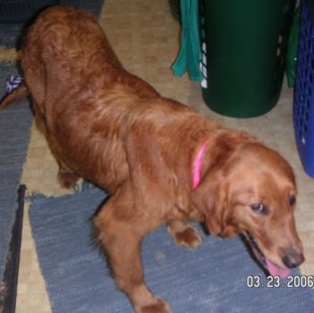 Josie