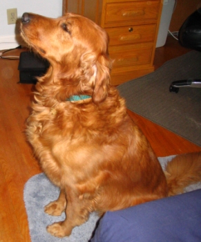 Sam
