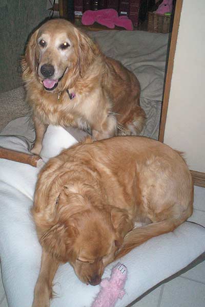 The buddies (Shondra in back)