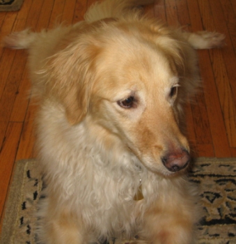 Sophie