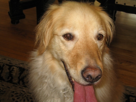 Sophie