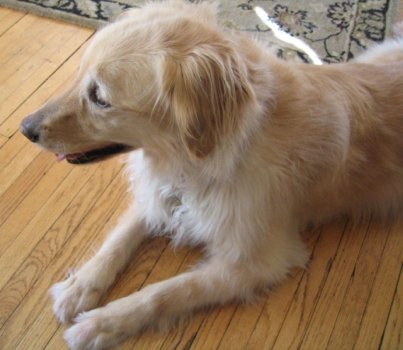Sophie