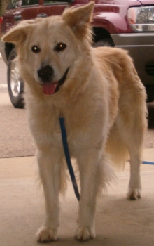 Trixie