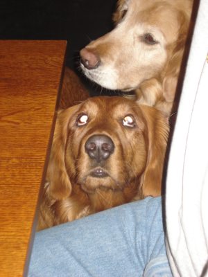 Cady and her foster sister