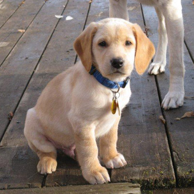 Charlie