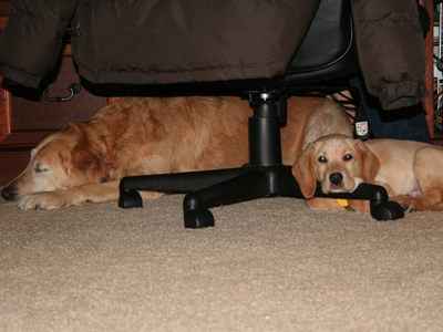 Charlie