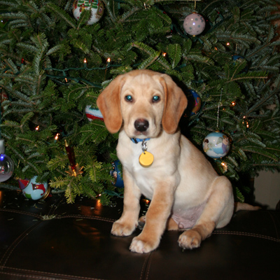 Charlie