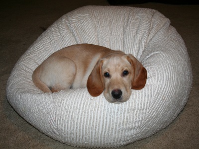 Charlie
