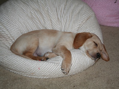 Charlie