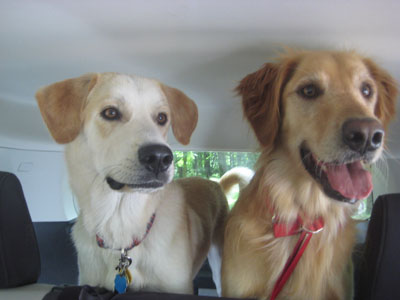 Dakota and Lennon