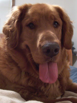 Duke