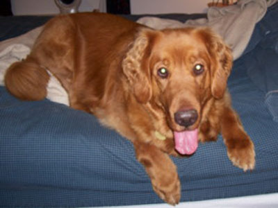 Duke