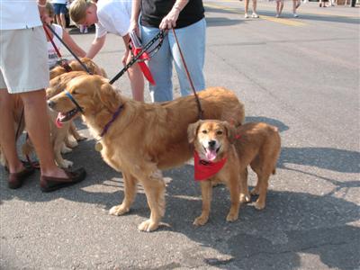 Going for a stroll!