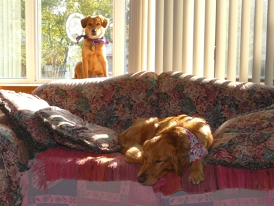 Time to rest