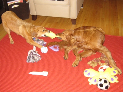   Playtime!