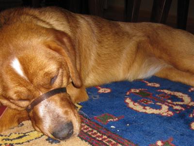 Naptime Jazz Naptime Jazz