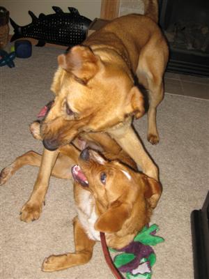Playing with a pal! Playing with a pal!