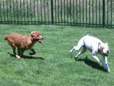 Jazz and her new pal, Franklin
