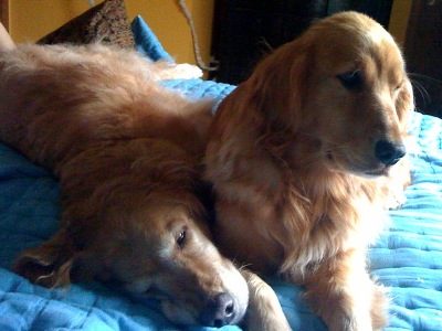 Do I have to take a nap?