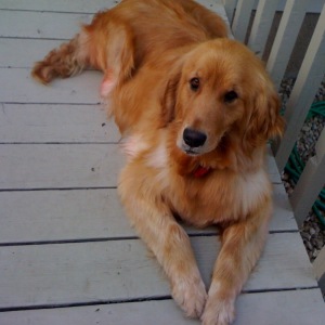 Oh - the sun is out!