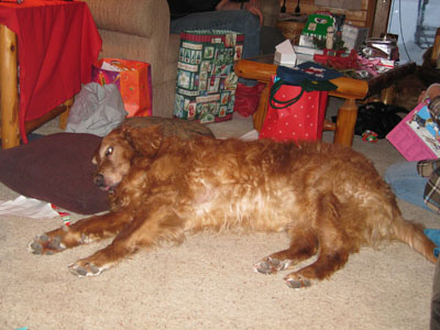 Katie