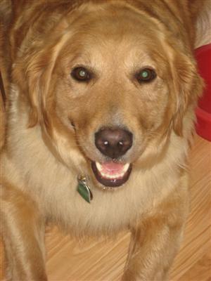 Meet Laney!