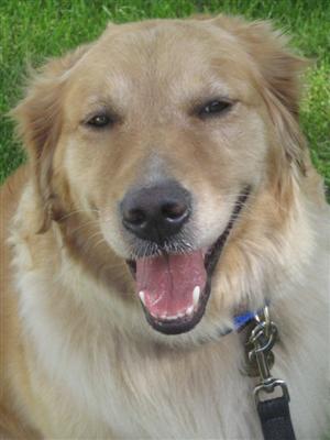 Happy girl!