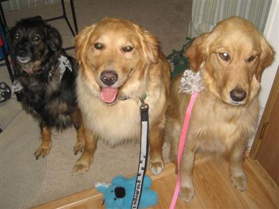 Laney and the girls!