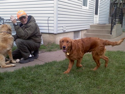FD, Timber, & Marley