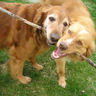 Max and Jack
