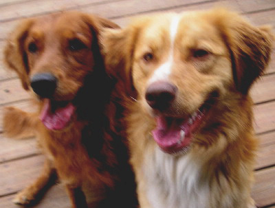 Max and Meg
