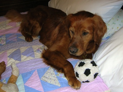 Morgan on the bed