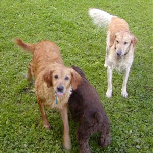 Mya and friends