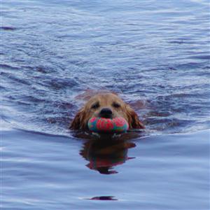 I LOVE water!