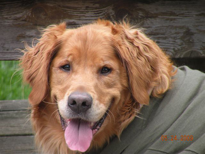 Rusty