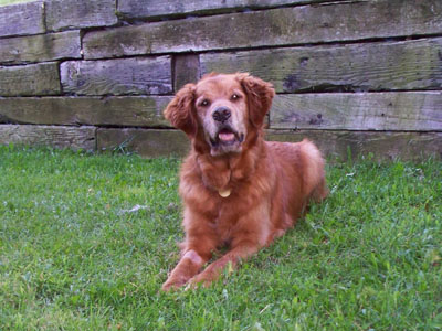 Rusty