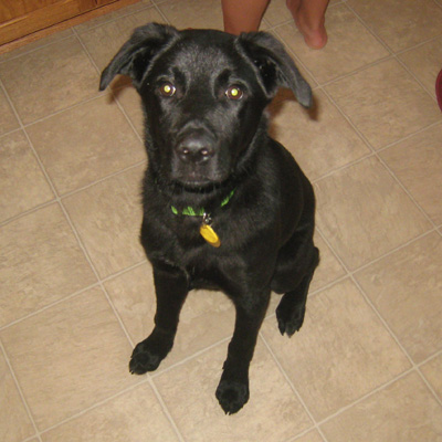 Baxter