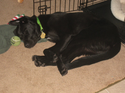 Baxter