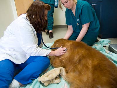 Getting checked out by Dr. G.