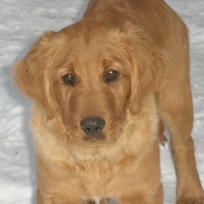 Hunter
