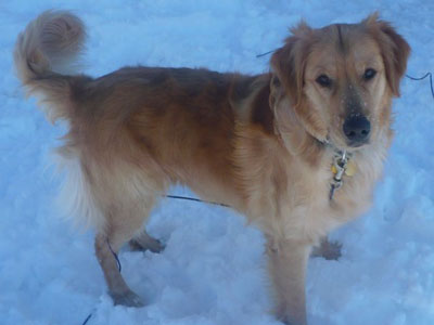 Max