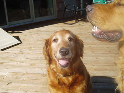 Rosie
