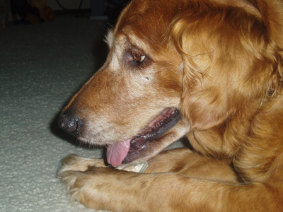 Rosie