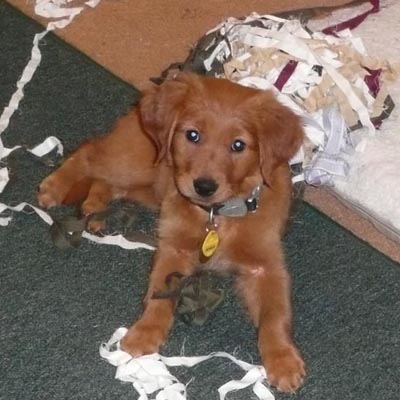 Sam