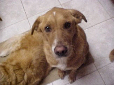 Santana