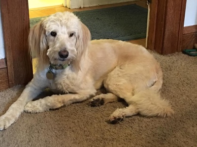Marley14022d1.jpg