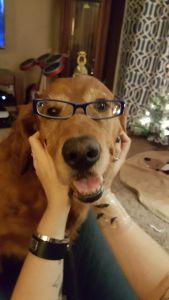 Buddy15302b1.jpg
